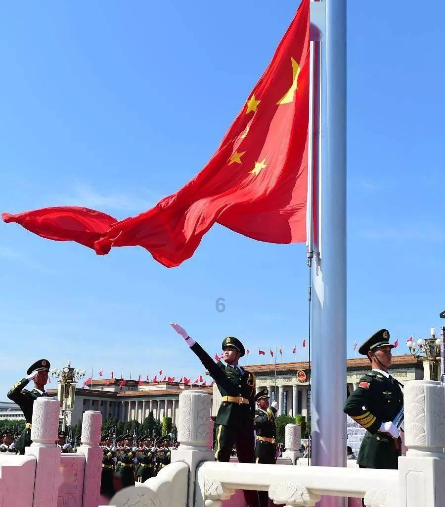 低碳清爽年菜之透抽冷盘,在热闹非凡的年节氛围中,是必不可少的